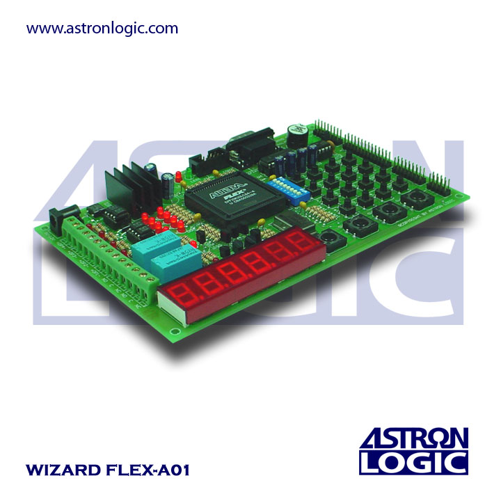 บอร์ดทดลอง FPGA รุ่น WIZARD FLEX-A01U